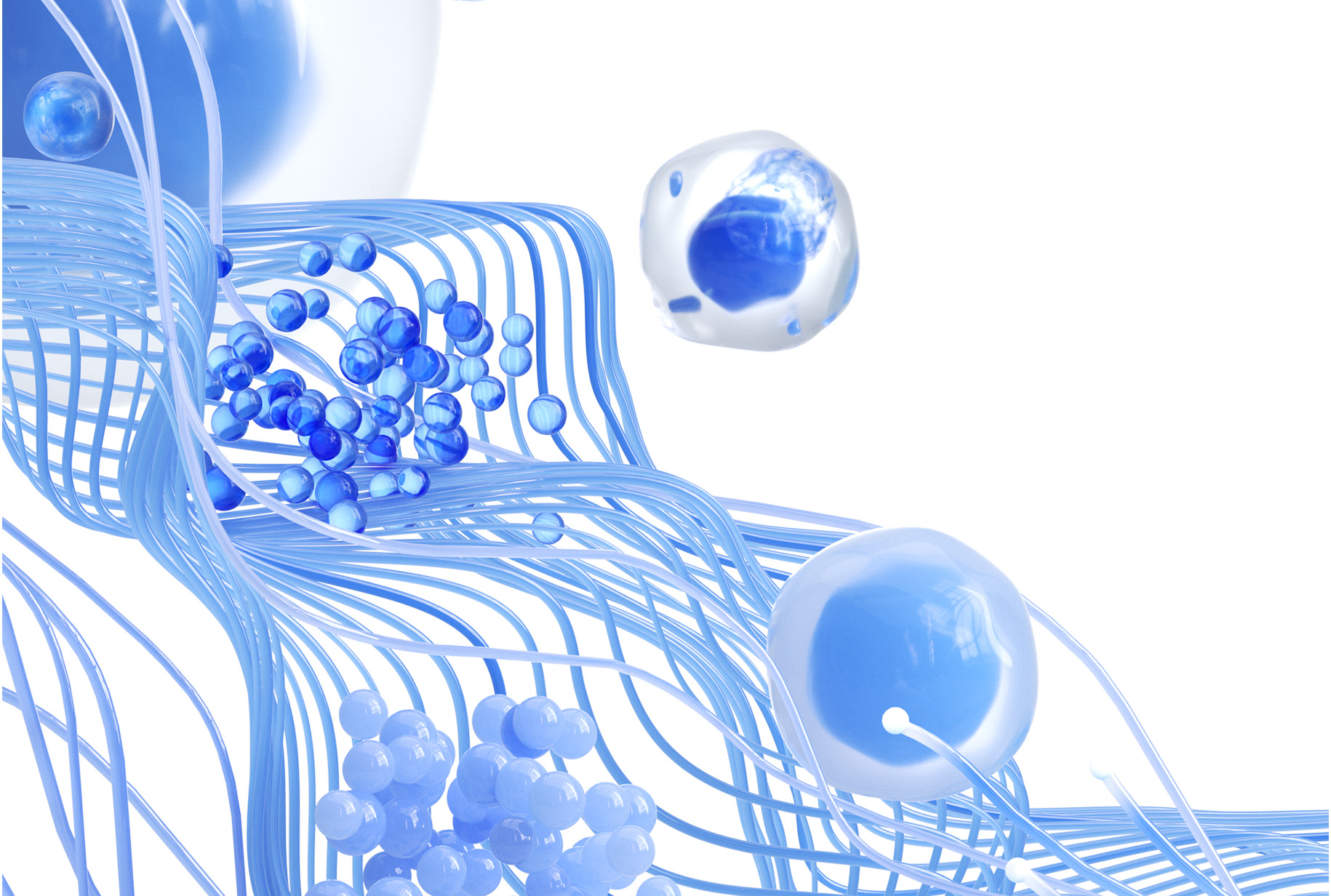 细胞分子结构c4d工程