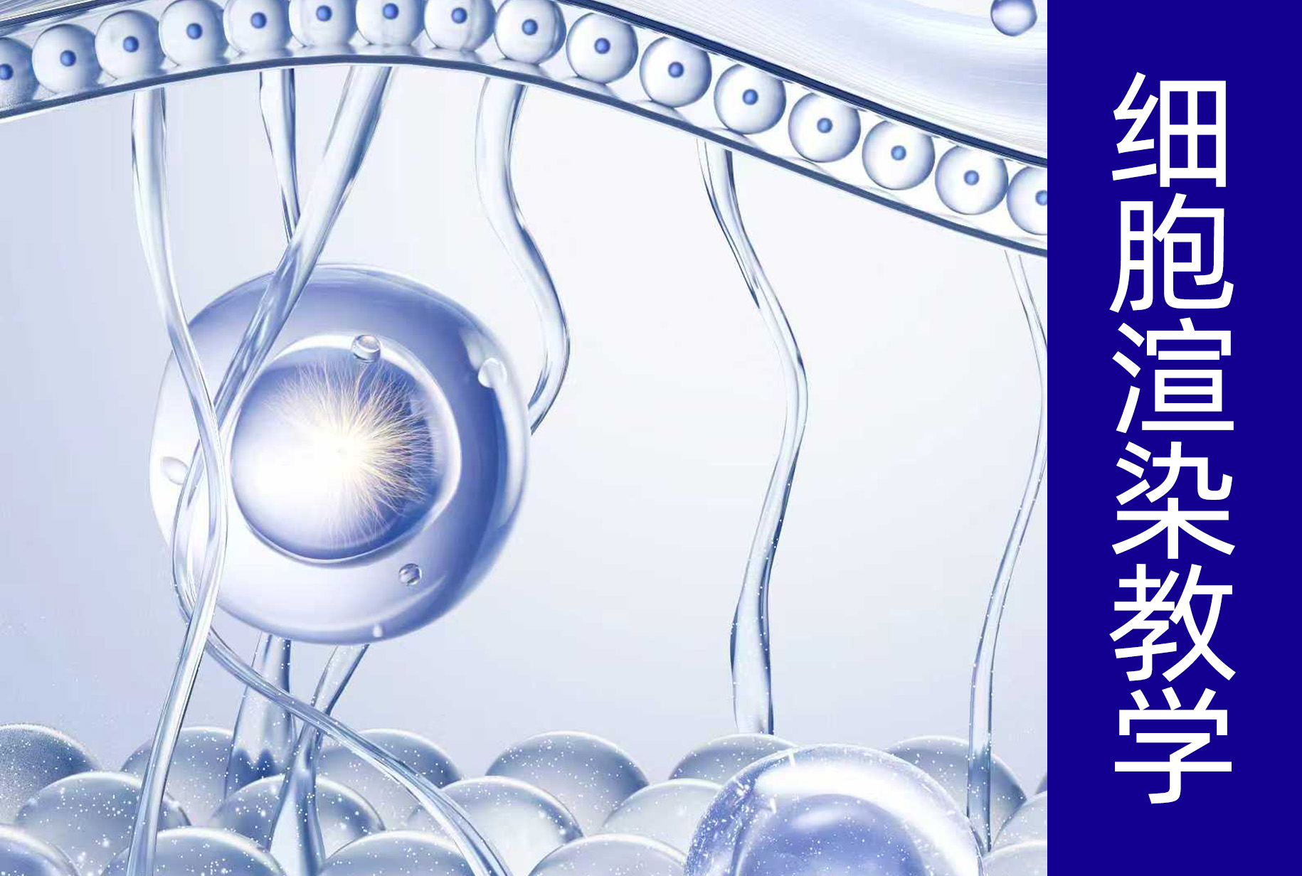 细胞分子渲染教学c4d