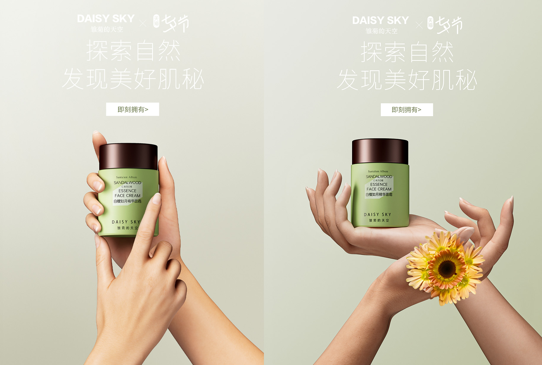 手部产品c4d工程清新雏菊元素