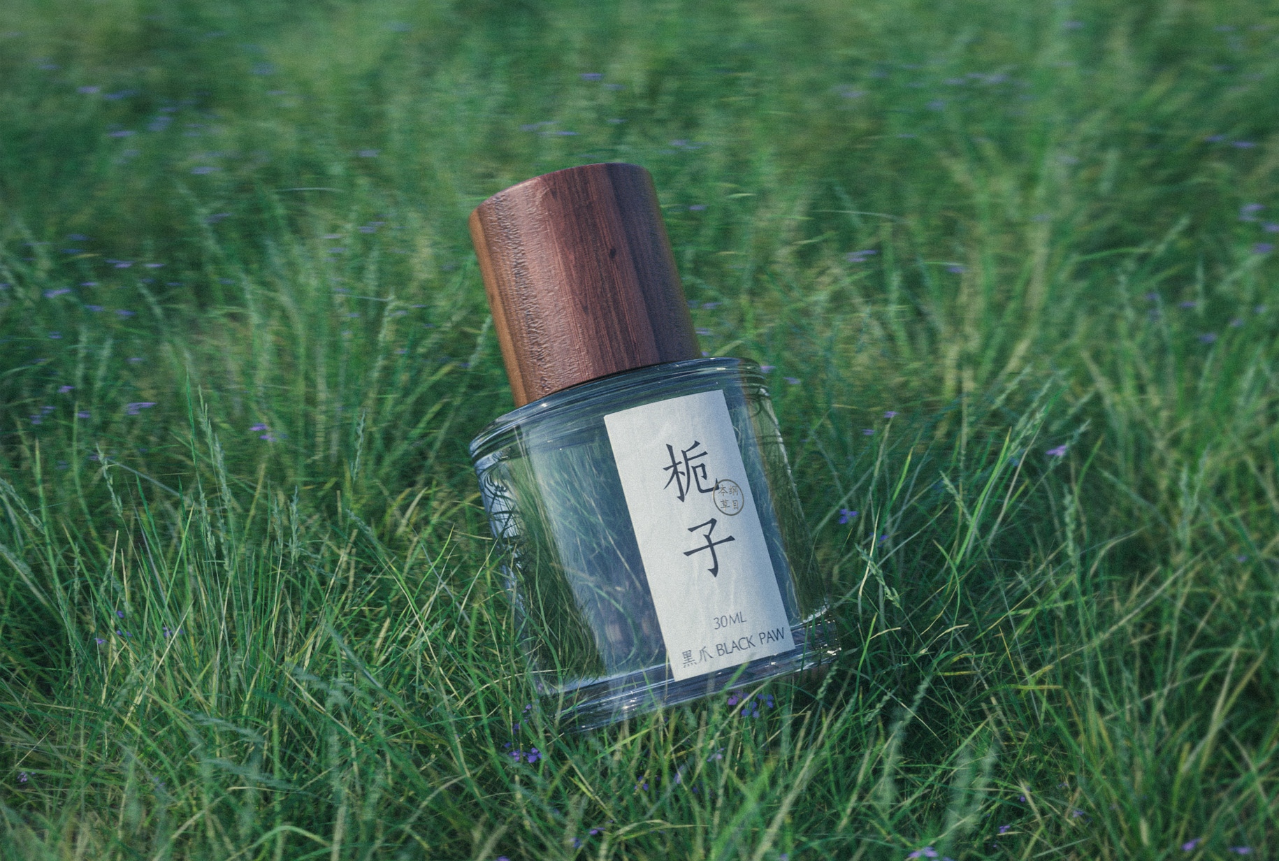 草地场景产品c4d工程