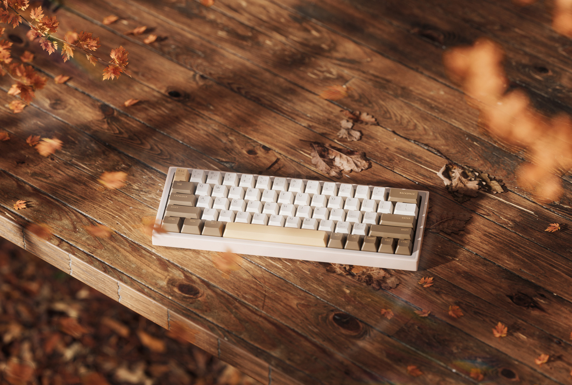 枫叶写实风格键盘C4d渲染工程